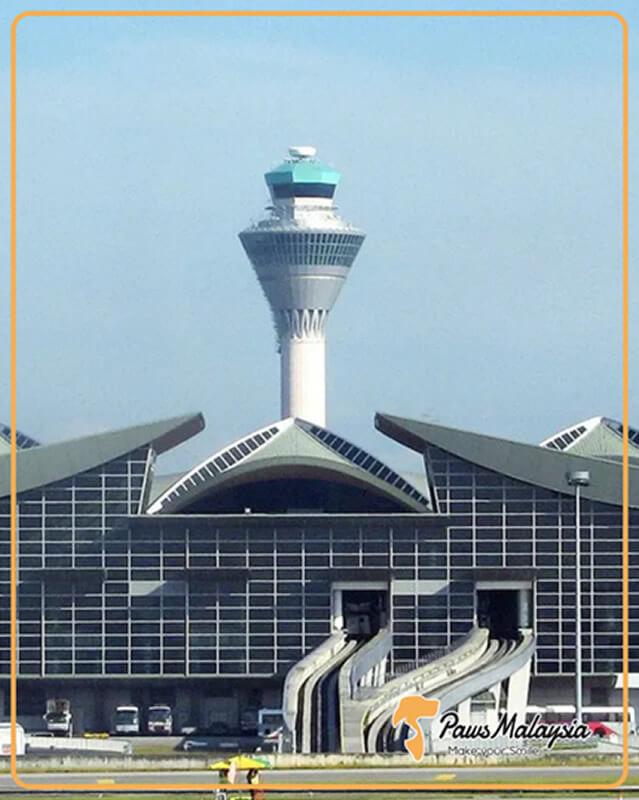 猫1匹がマレーシアに入国