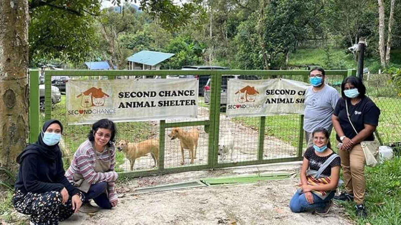 マレーシアでペットを保護団体から譲渡してもらう