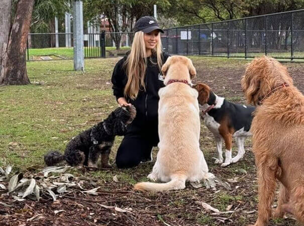犬