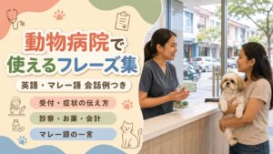 クリーム色の背景に「動物病院で使えるフレーズ集」の見出しと、獣医さんと飼い主とペットのイラスト、下に3つのコーラル色のチップが並んだアイキャッチ画像